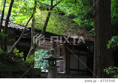 法然院の山門と新緑 6735548