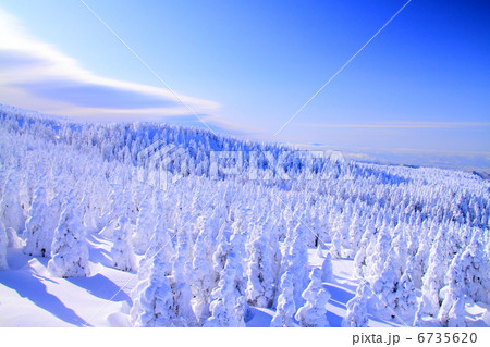 蔵王の樹氷 6735620