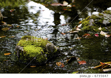 日本庭園 6735647