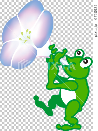 Frog's frog 6738922