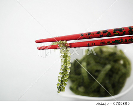 海ぶどう 6739399