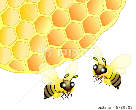 ミツバチと蜂の巣のイラスト素材