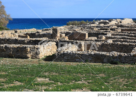 ケルクアン 6739641