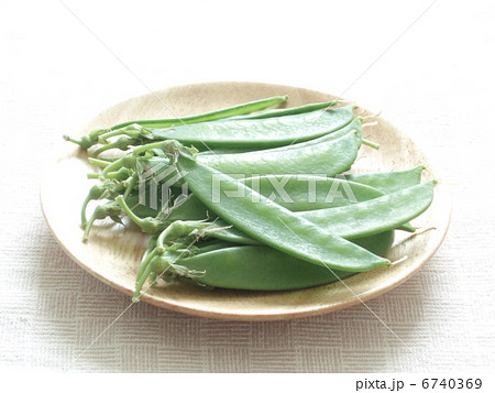 サヤエンドウ サヤエンドウ 6740369