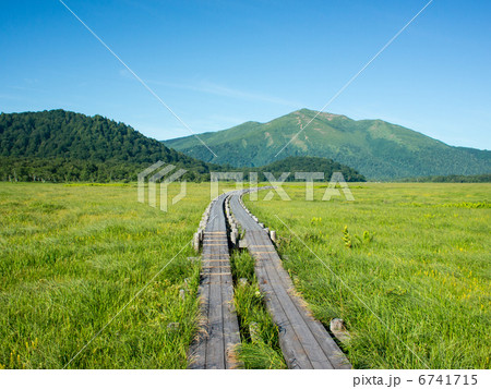 尾瀬６ 6741715
