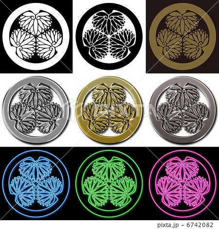 家紋～紀州三つ葵 6742082