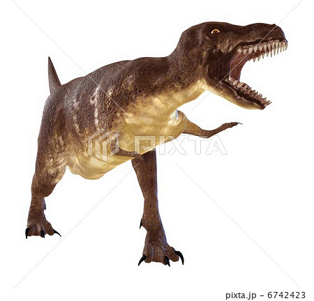 T Rex ティラノサウルスのイラスト素材