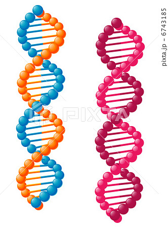 Biological Dna Elementsのイラスト素材