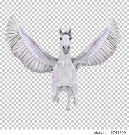 ペガサス 6743709