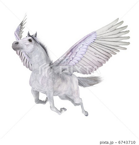 ペガサス ペガサス 6743710