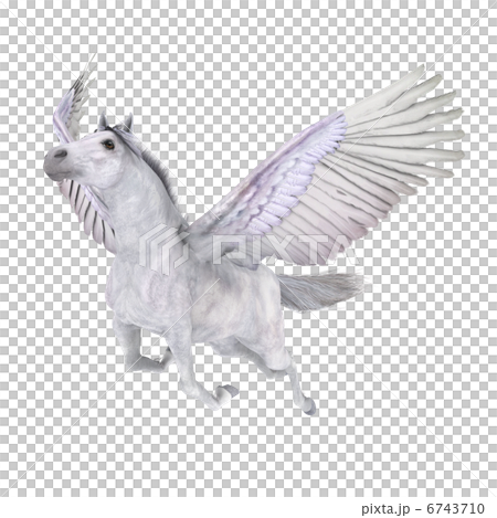 ペガサス ペガサス 6743710