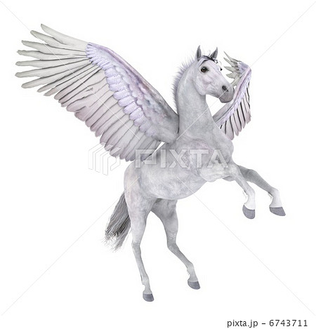 ペガサス 6743711