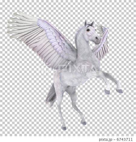 ペガサス 6743711