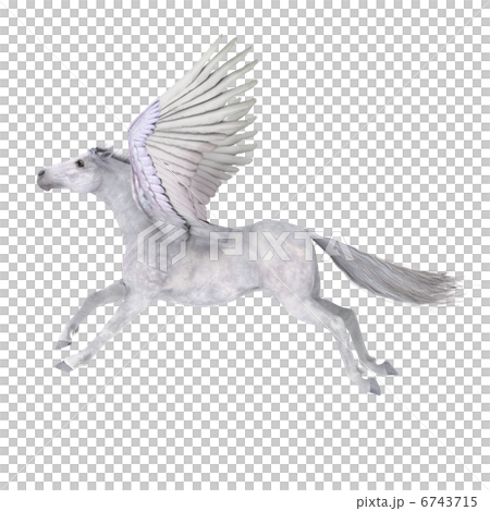 ペガサス 6743715