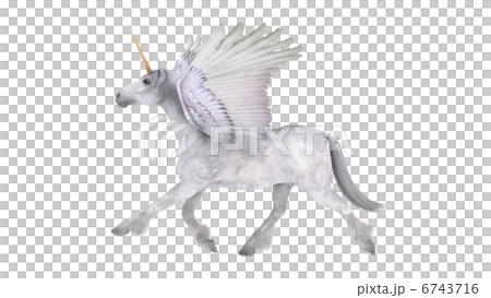 ペガサス ペガサス 6743716