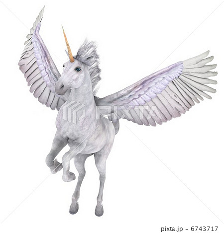 ペガサス 6743717