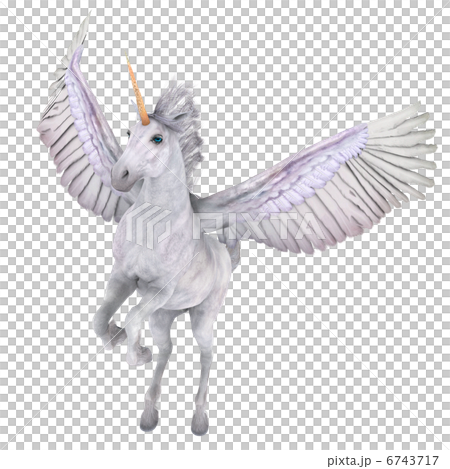 ペガサス 6743717