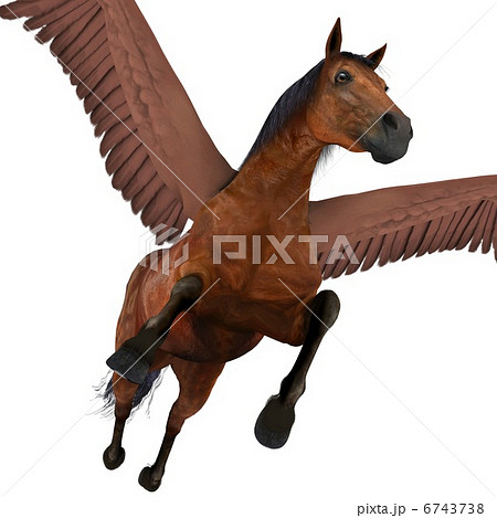 ペガサス 6743738