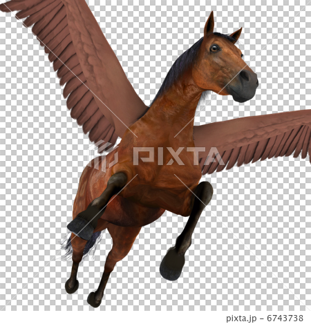 ペガサス 6743738