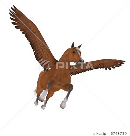 ペガサス ペガサス 6743739