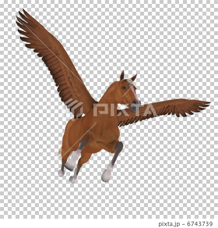 ペガサス ペガサス 6743739