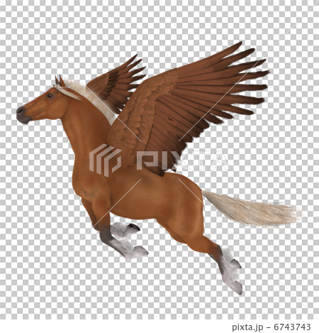 飛馬 6743743