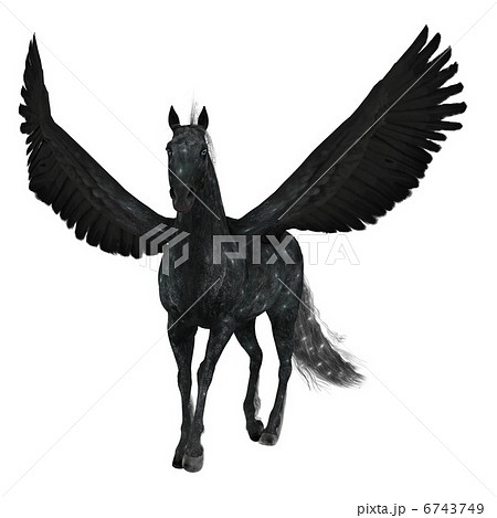 ペガサス ペガサス 6743749