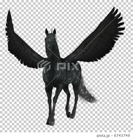 ペガサス ペガサス 6743749