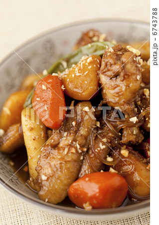 鶏料理 鶏料理 6743788