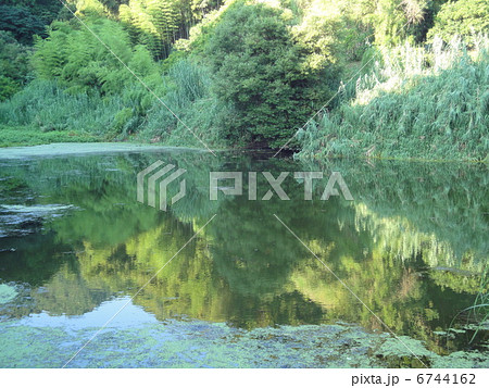 あがた池 6744162