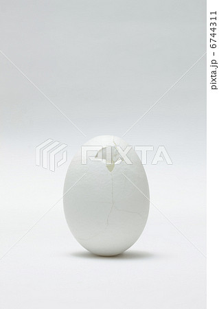 egg_04 6744311