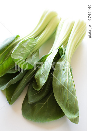 チンゲン菜 6744440