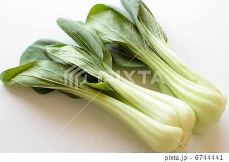 チンゲン菜 6744441