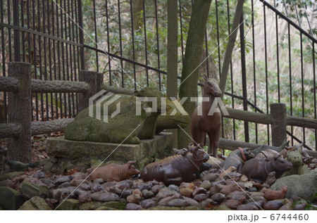 田倉牛神社のご神体と奉納牛焼き物 田倉牛神社のご神体と奉納牛焼き物 6744460