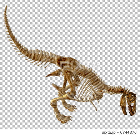 T-REX Bone☆ティラノサウルス T-REX Bone☆ティラノサウルス 6744876