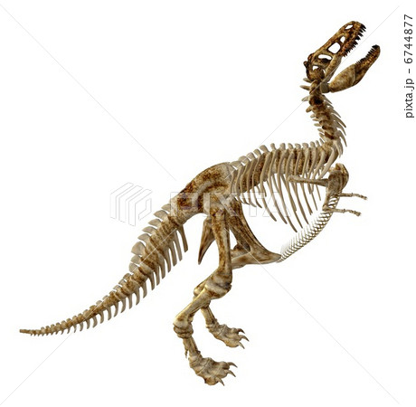 T-REX Bone☆ティラノサウルス 6744877