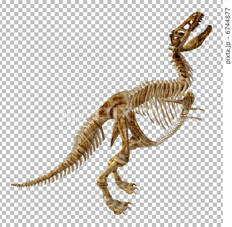 T-REX Bone☆ティラノサウルス 6744877