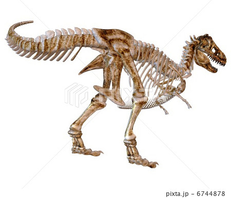 T-REX Bone☆ティラノサウルス 6744878