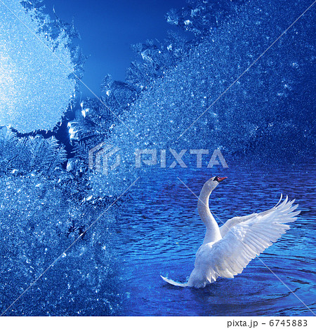 Winter dream Winter dream 6745883