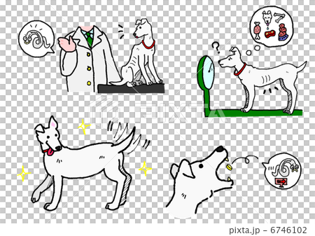 Removal of dogs' parasites Removal of dogs' parasites 6746102