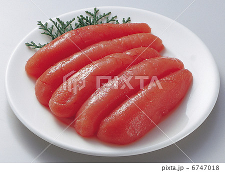 辛子明太子,5腹 辛子明太子,5腹 6747018