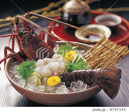 活・伊勢海老 6747143