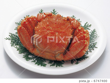 毛がに,1杯 6747400