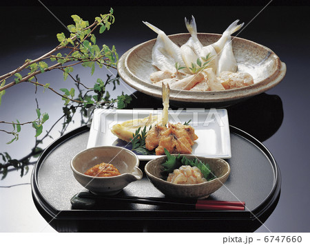 ふぐ一夜干しと唐揚げと珍味 ふぐ一夜干しと唐揚げと珍味 6747660