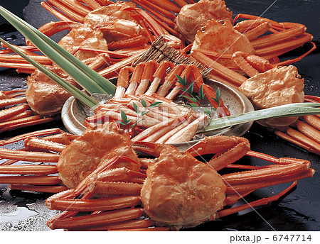 紅ずわいがに 紅ずわいがに 6747714