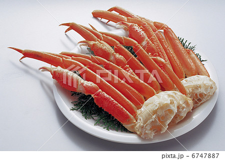 ズワイガニ脚 6747887