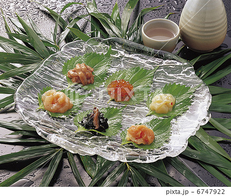 珍味 珍味 6747922