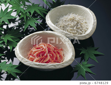 釜揚げ,しらすと桜えび 6748129