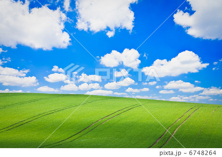 green field 6748264