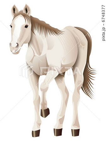馬 イラスト_01 馬 イラスト_01 6748377